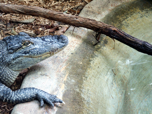 Photographie par copierguy43215 pour DesignCrowd (Community Contests) | Design #9131170