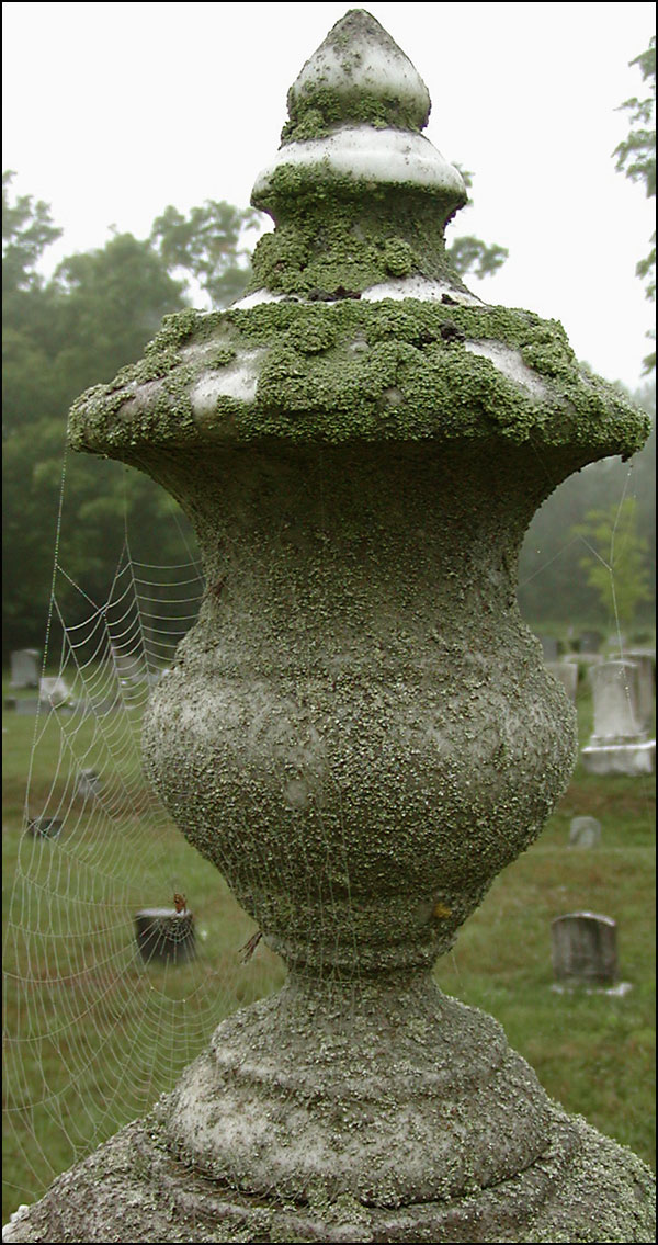 Photography by jmbaggs for DesignCrowd (Community Contests) | Design #9138657