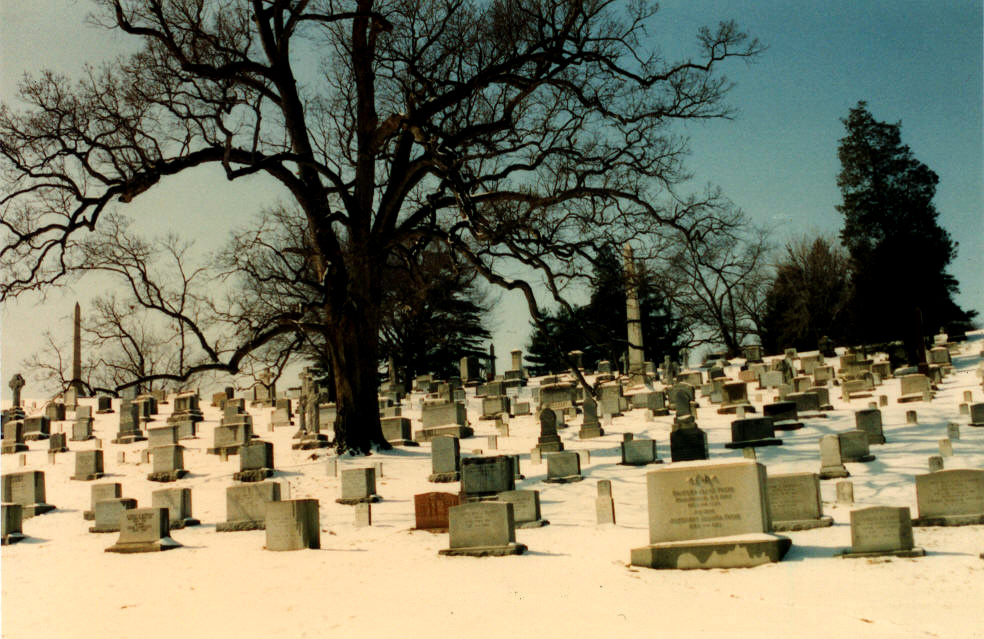 Fotografía por vgmn1956 para DesignCrowd (Community Contests) | Diseño #9138725