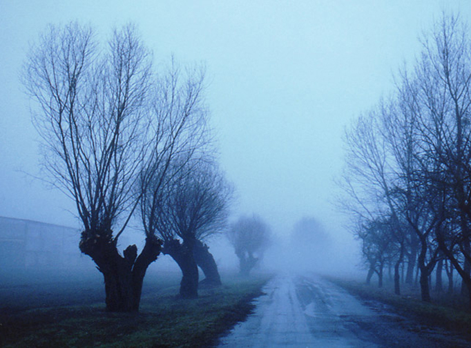 Photography by Pavel_87_BANNED for DesignCrowd (Community Contests) | Design #9131520