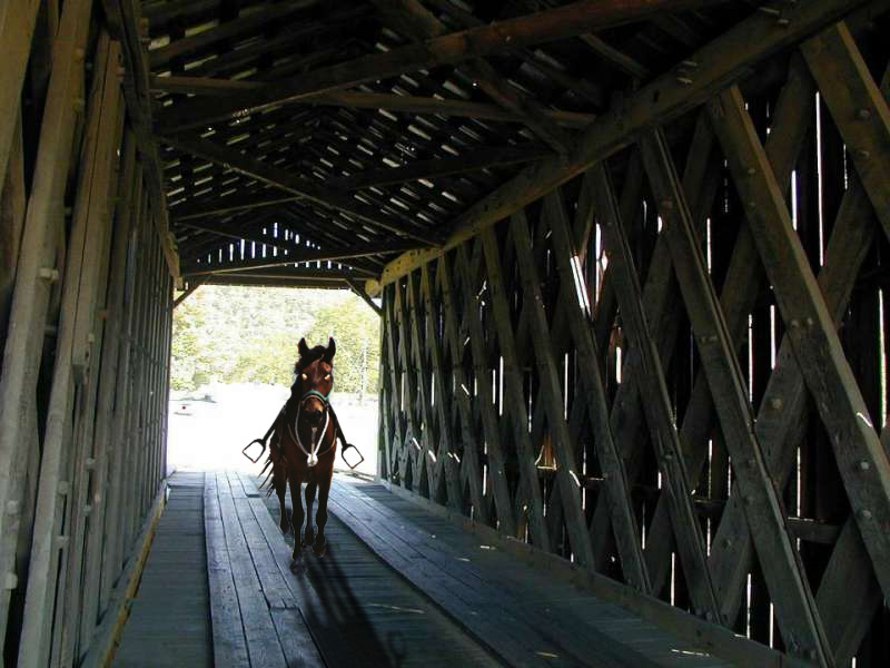 Diseño de Photoshop por digsRus para DesignCrowd (Community Contests) | Diseño #9136410