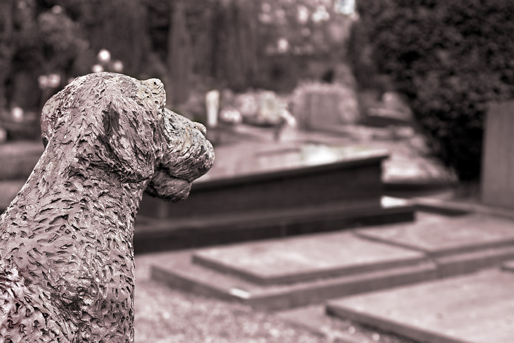 Photography by branie for DesignCrowd (Community Contests) | Design #9138820