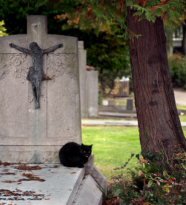 Photography by branie for DesignCrowd (Community Contests) | Design #9131614