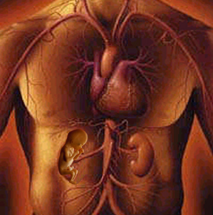 Photoshop Design by charmedy for DesignCrowd (Community Contests) | Design #9138278