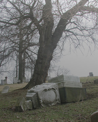 Photography by oneguy for DesignCrowd (Community Contests) | Design #9138920