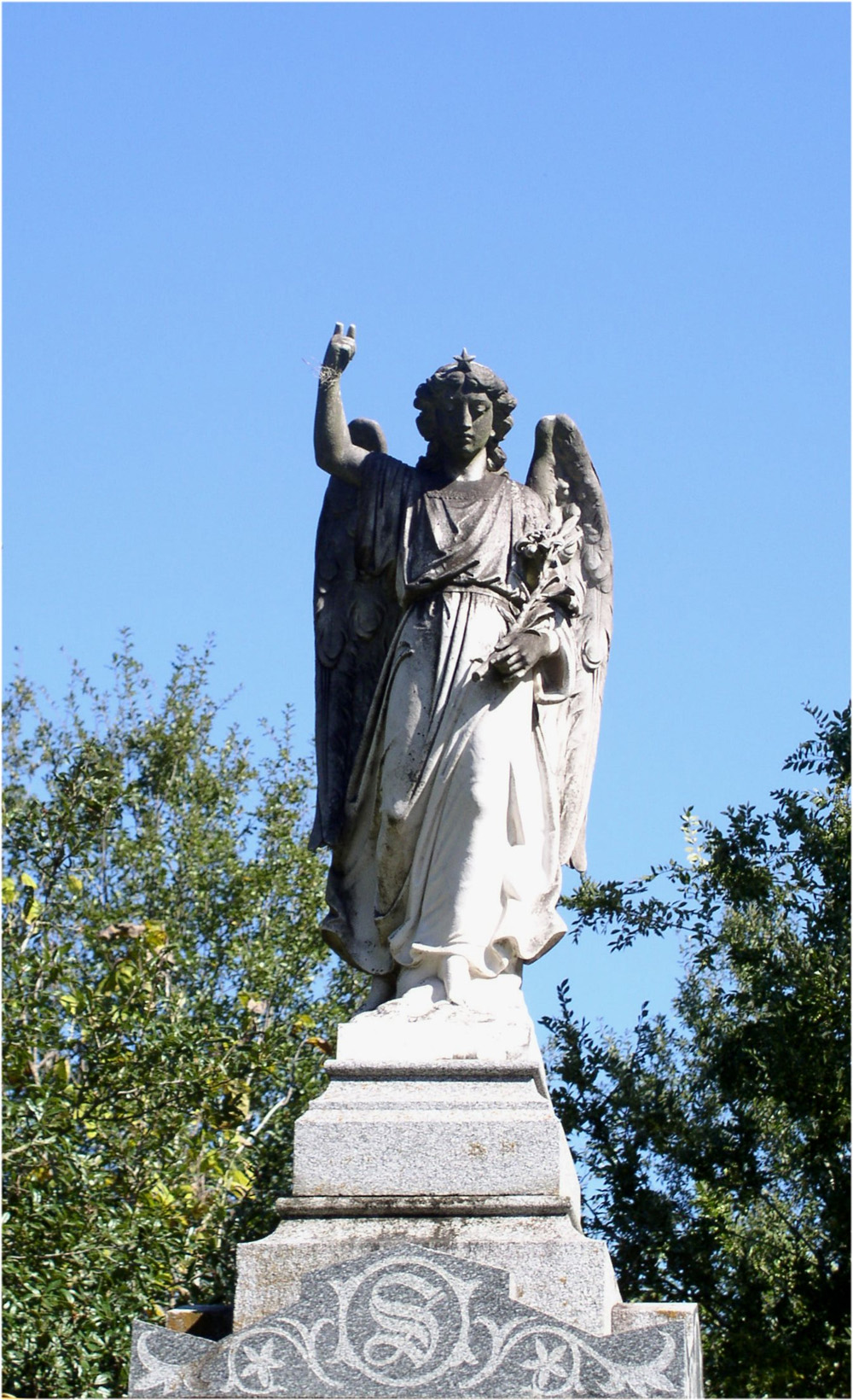 Photography by CrazyMazy for DesignCrowd (Community Contests) | Design #9138875