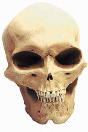 Diseño de Photoshop por nigelleitch para DesignCrowd (Community Contests) | Diseño #9138348