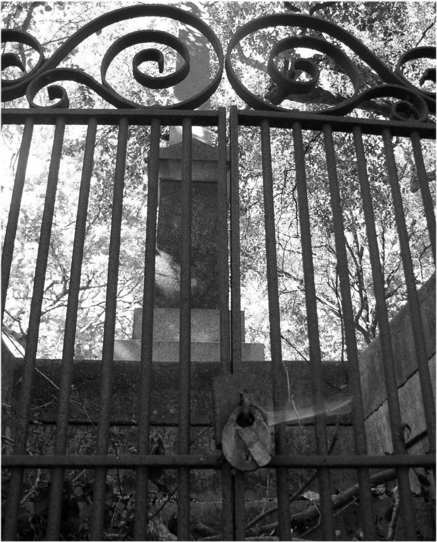 Photography by CrazyMazy for DesignCrowd (Community Contests) | Design #9131628