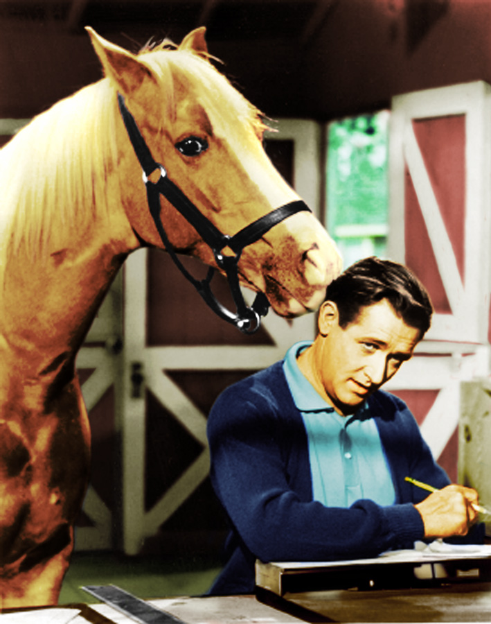 Photoshop Design by fearscythe for DesignCrowd (Community Contests) | Design #9129683