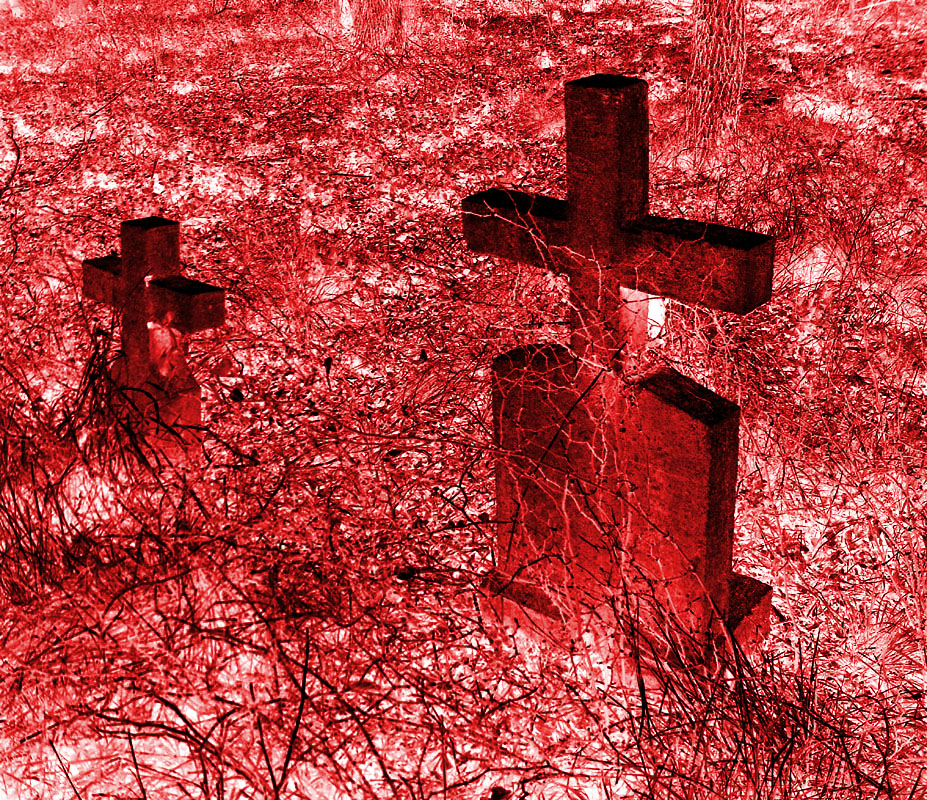 Photography by TheSpaz for DesignCrowd (Community Contests) | Design #9119915
