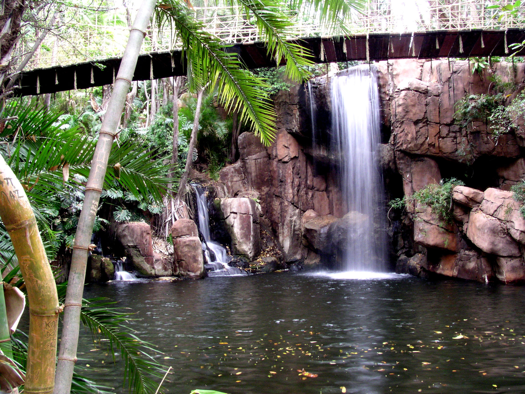 Fotografía por Featherlake para DesignCrowd (Community Contests) | Diseño #9133416