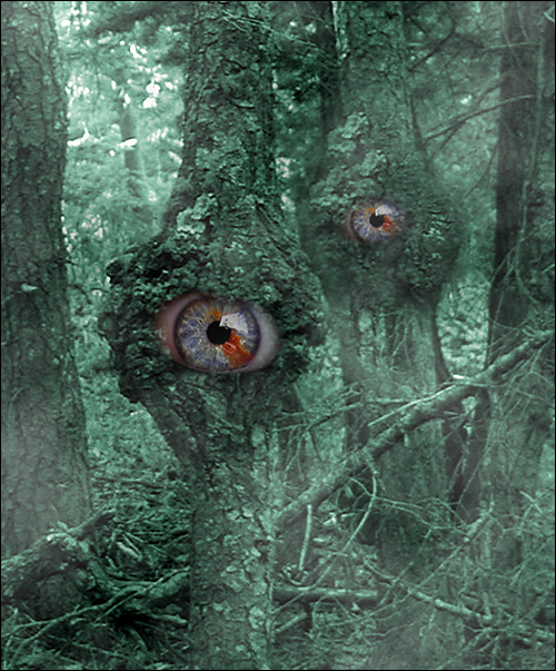 Photography by compugoddess for DesignCrowd (Community Contests) | Design #9119917