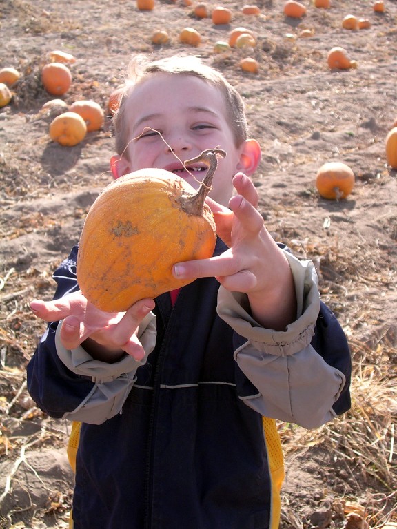 Fotografía por DaftGretel para DesignCrowd (Community Contests) | Diseño #9131161