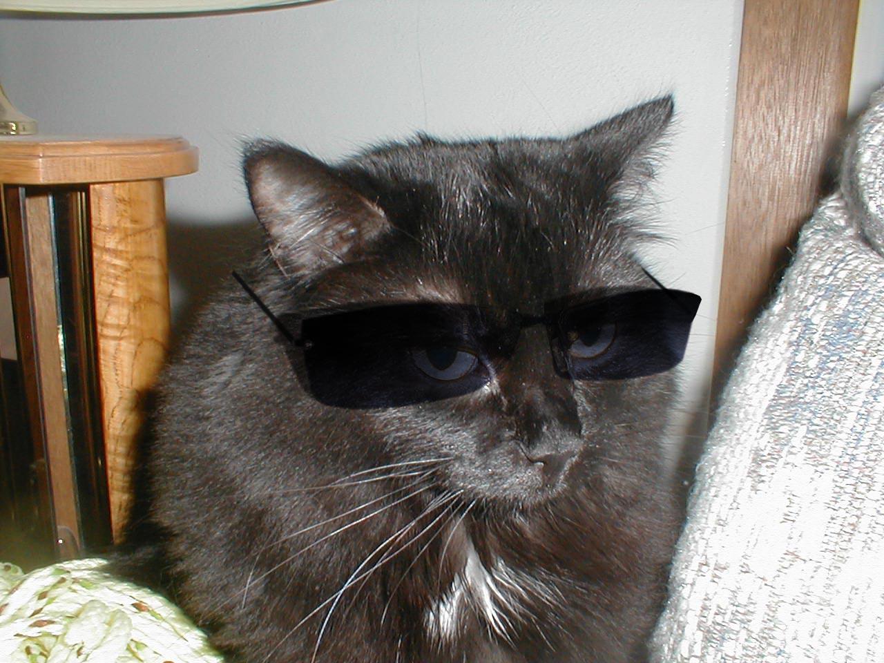 Design Photoshop par KingPoo pour DesignCrowd (Community Contests) | Design #9107430