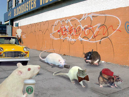 Photoshop Design by JK for DesignCrowd (Community Contests) | Design #9107428