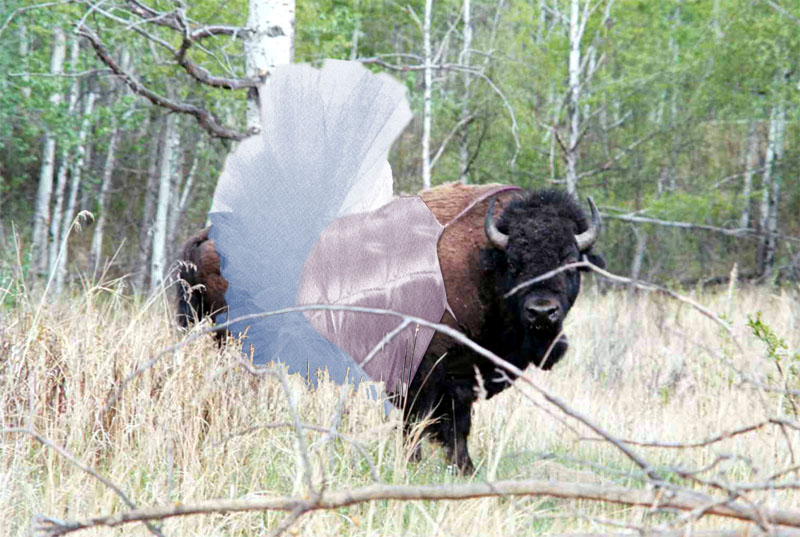 Photoshop-Design von BMCVfreak für DesignCrowd (Community Contests) | Design #9107422