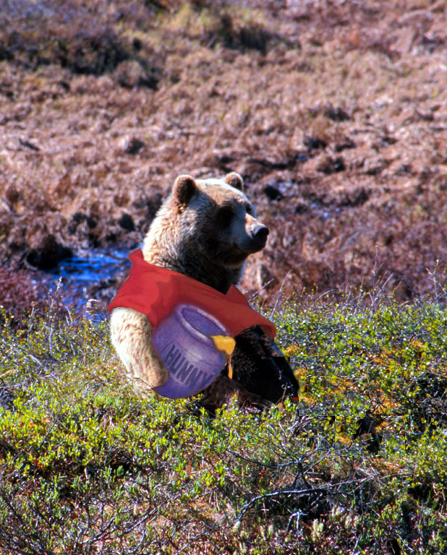 Photoshop Design by ZaphodBeeblebrox for DesignCrowd (Community Contests) | Design #9107483