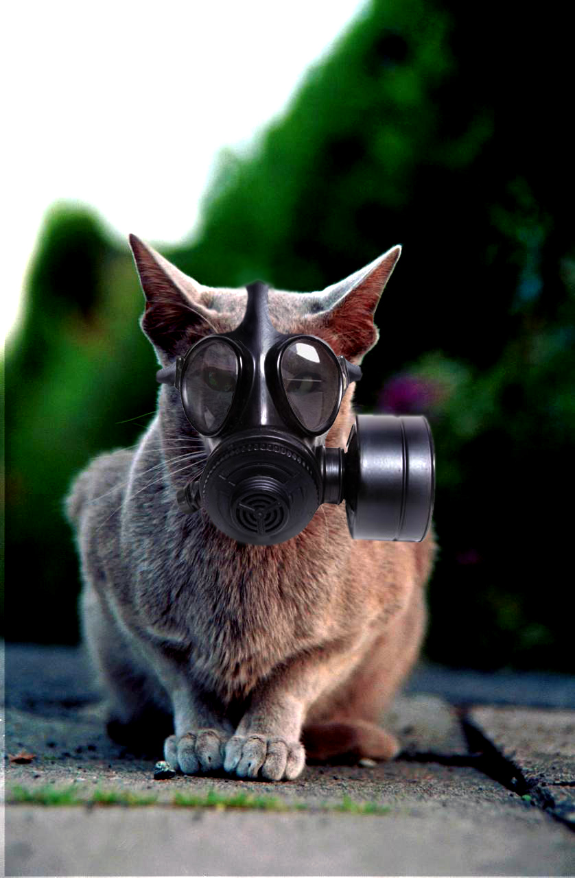 Photoshop Design by Odessa for DesignCrowd (Community Contests) | Design #9107486