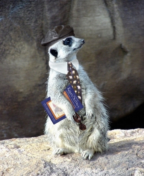 Diseño de Photoshop por CynLynn para DesignCrowd (Community Contests) | Diseño #9107478