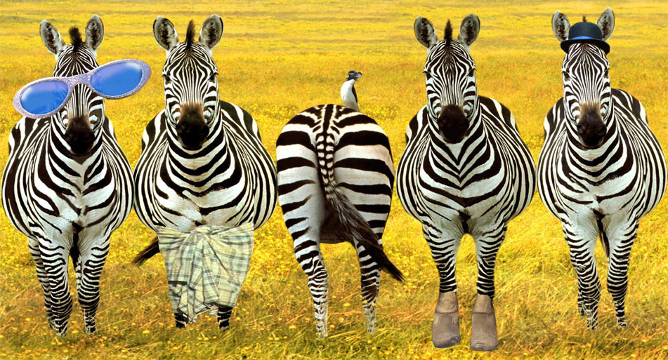 Design Photoshop par sfmsfm pour DesignCrowd (Community Contests) | Design #9107554