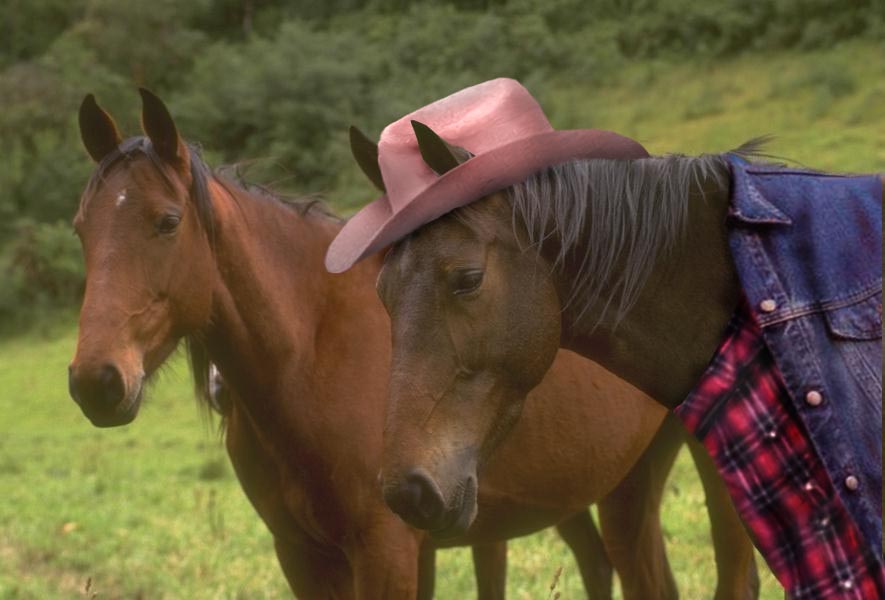 Diseño de Photoshop por kzk666 para DesignCrowd (Community Contests) | Diseño #9107526