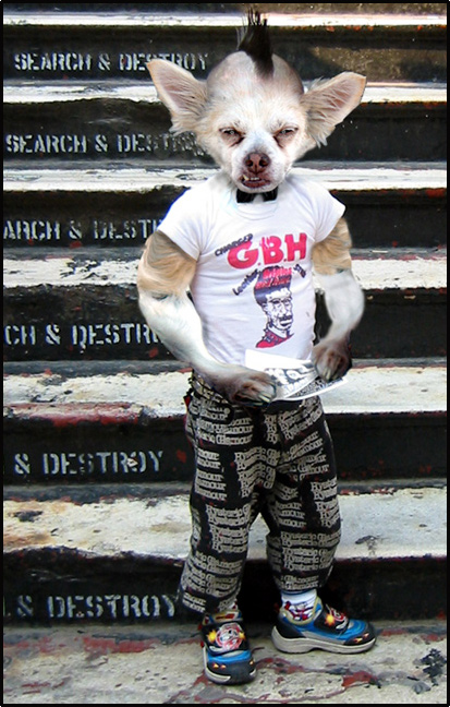 Photoshop-Design von paddyjoe für DesignCrowd (Community Contests) | Design #9107518