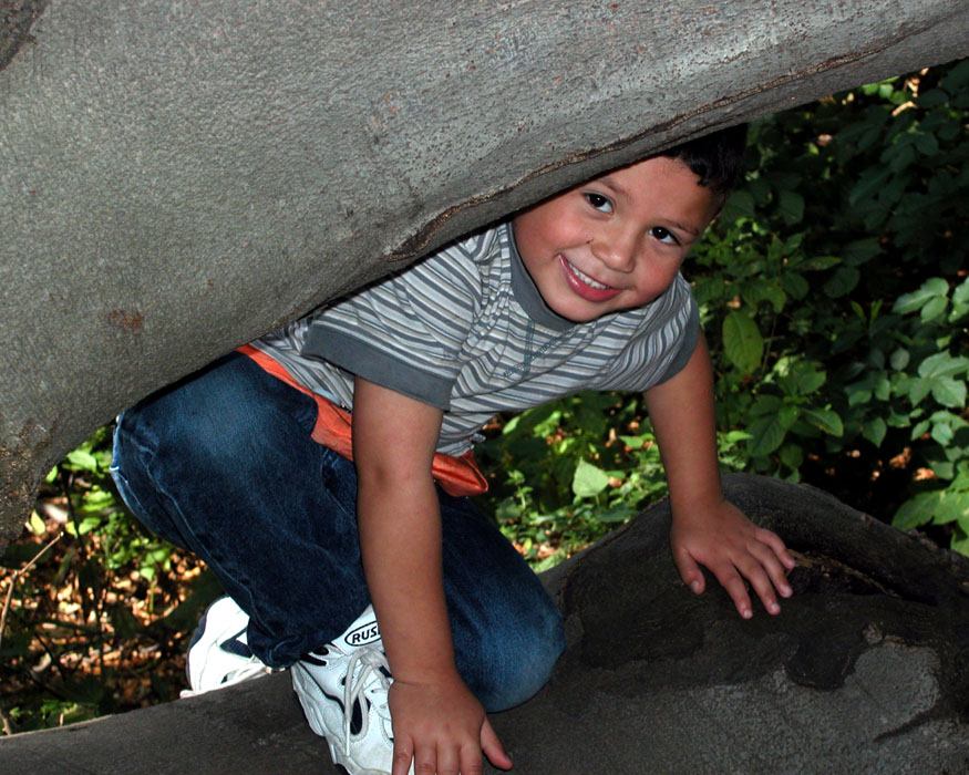 Photography by branie for DesignCrowd (Community Contests) | Design #9131344