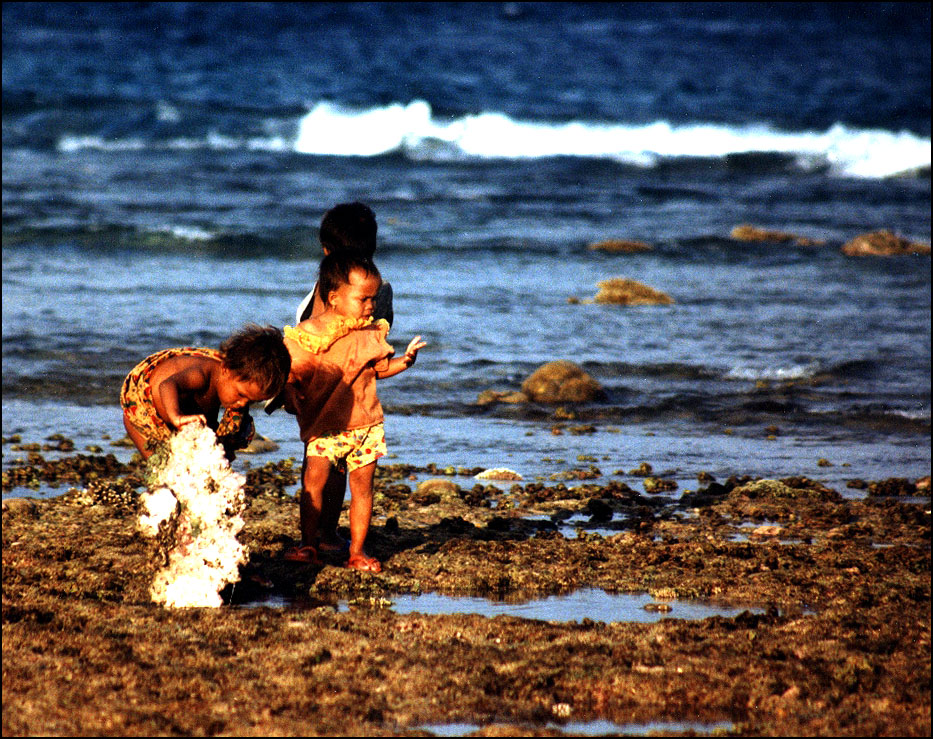 Fotografie von Drorak für DesignCrowd (Community Contests) | Design #9131337