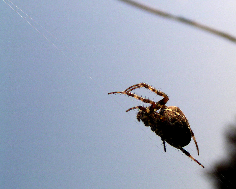 Photography by KChris for DesignCrowd (Community Contests) | Design #9107922