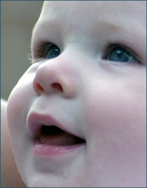 Photography by paddyjoe for DesignCrowd (Community Contests) | Design #9131318