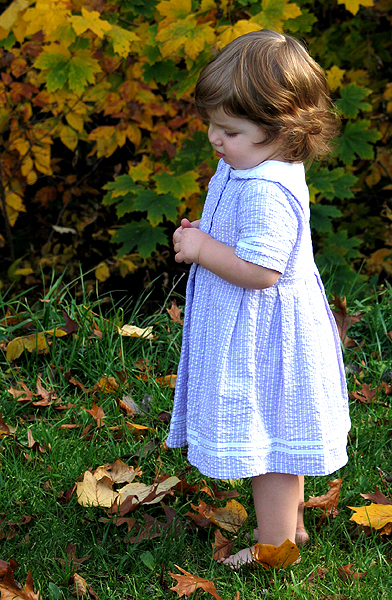 Photography by knightkat76 for DesignCrowd (Community Contests) | Design #9131349