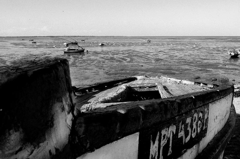 Photography by bostrom155 for DesignCrowd (Community Contests) | Design #9118856