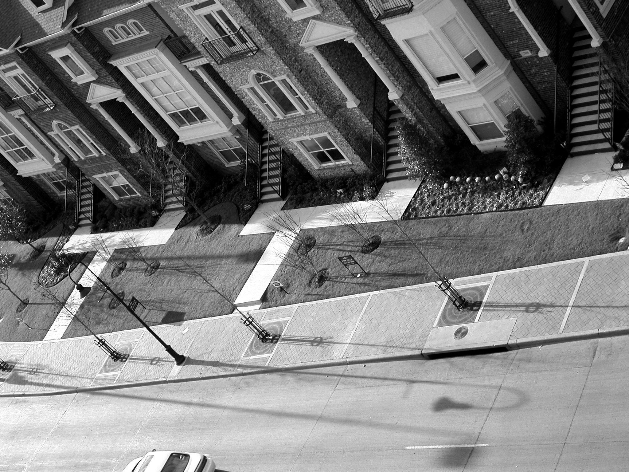 Photography by Silverkatt for DesignCrowd (Community Contests) | Design #9107075