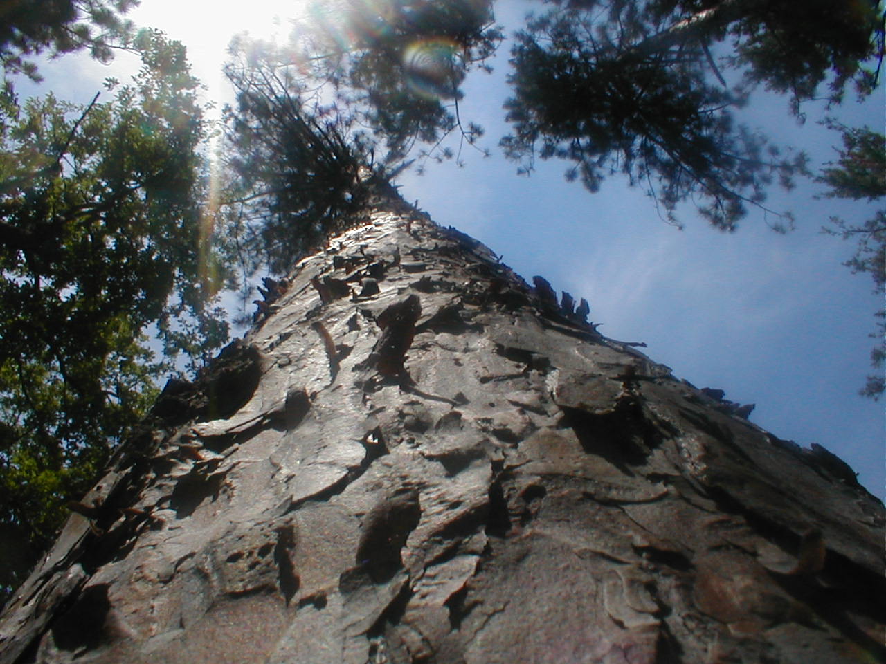 Photographie par KingPoo pour DesignCrowd (Community Contests) | Design #9107095