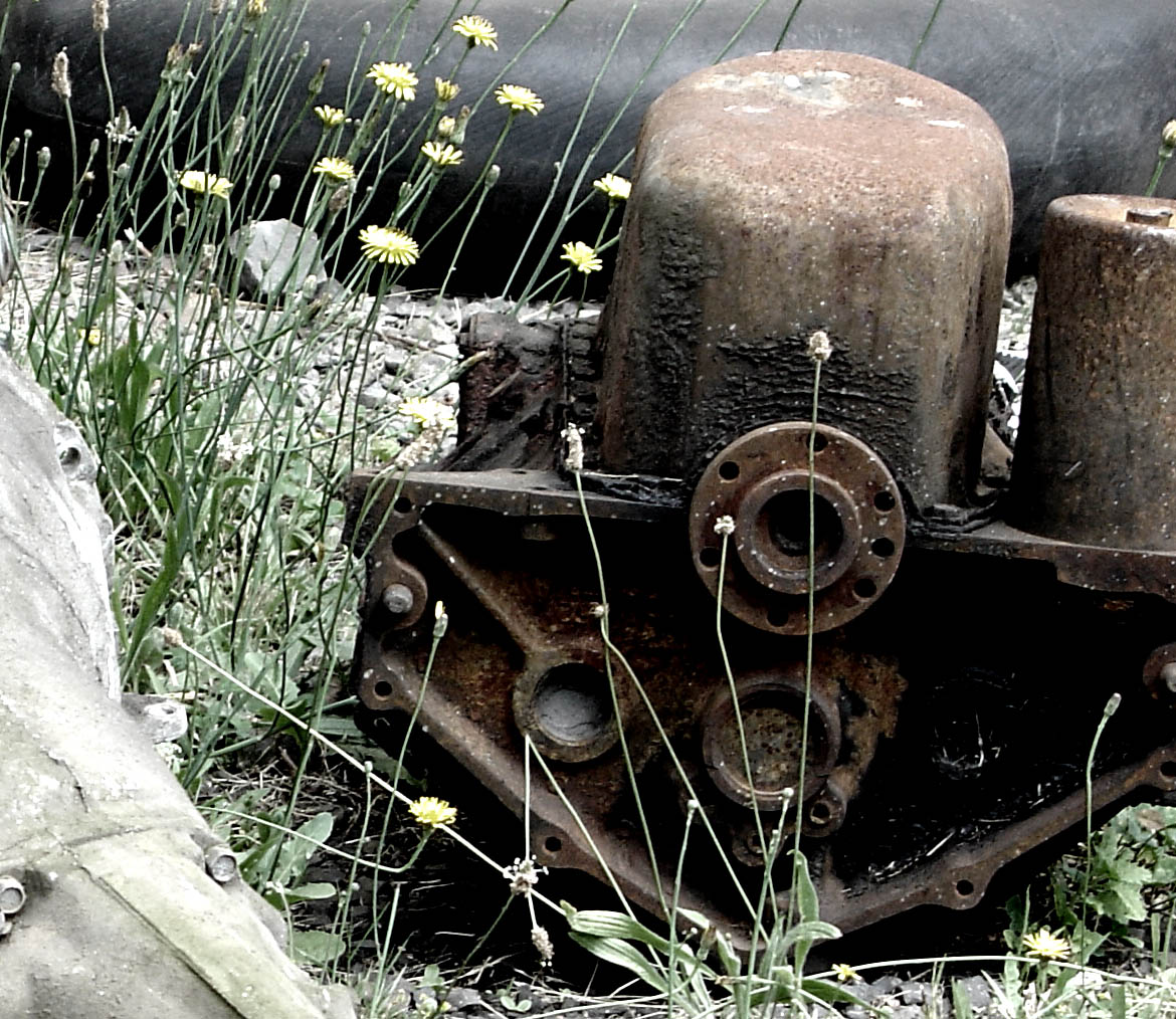 Photography by Pavel_87_BANNED for DesignCrowd (Community Contests) | Design #9118873