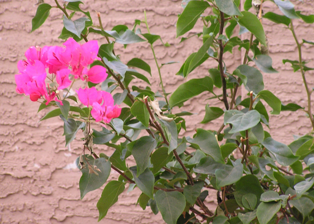 Photography by spfstr for DesignCrowd (Community Contests) | Design #9107872