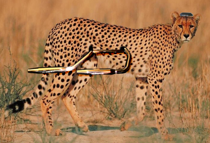 Photoshop Design by Deathbunny for DesignCrowd (Community Contests) | Design #9106560