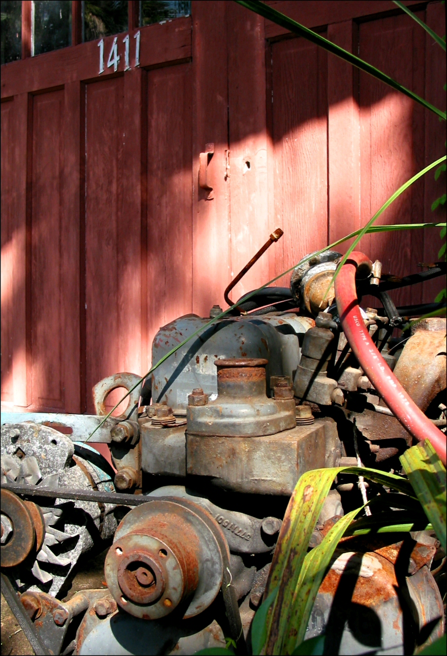 Photography by koalachimbo for DesignCrowd (Community Contests) | Design #9119031