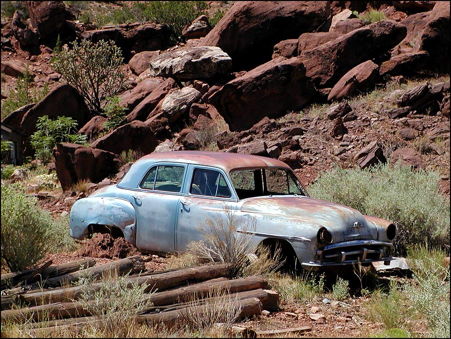 Photography by compugoddess for DesignCrowd (Community Contests) | Design #9118962