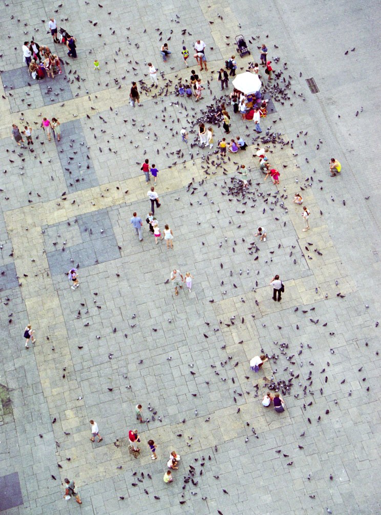 Photography by Martan for DesignCrowd (Community Contests) | Design #9107285
