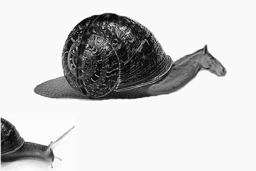 Photoshop Design by jaik77 for DesignCrowd (Community Contests) | Design #9130887