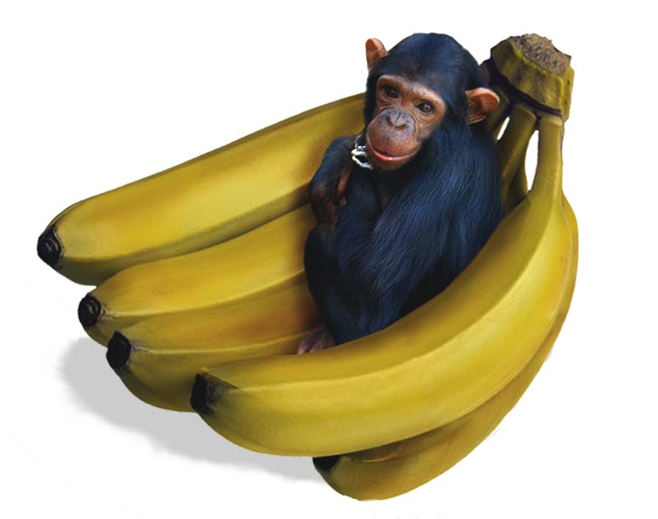 Diseño de Photoshop por kzk666 para DesignCrowd (Community Contests) | Diseño #9130958