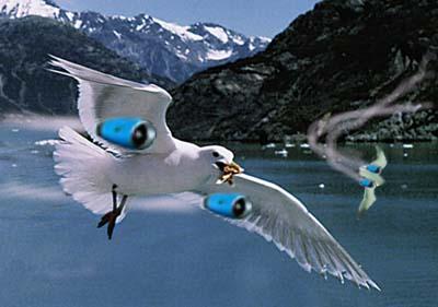 Photoshop Design by Floppglopple for DesignCrowd (Community Contests) | Design #9130993