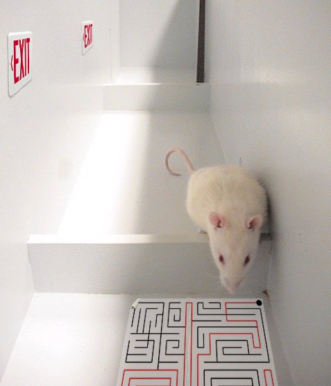 Photoshop Design by Cj for DesignCrowd (Community Contests) | Design #9130909