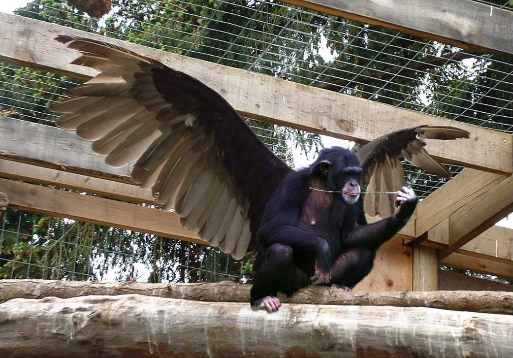 Photoshop-Design von Nana für DesignCrowd (Community Contests) | Design #9130947