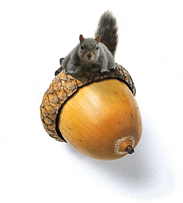 Design Photoshop par Scarlette pour DesignCrowd (Community Contests) | Design #9130938