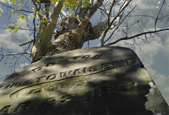 Photography by oneguy for DesignCrowd (Community Contests) | Design #9107382