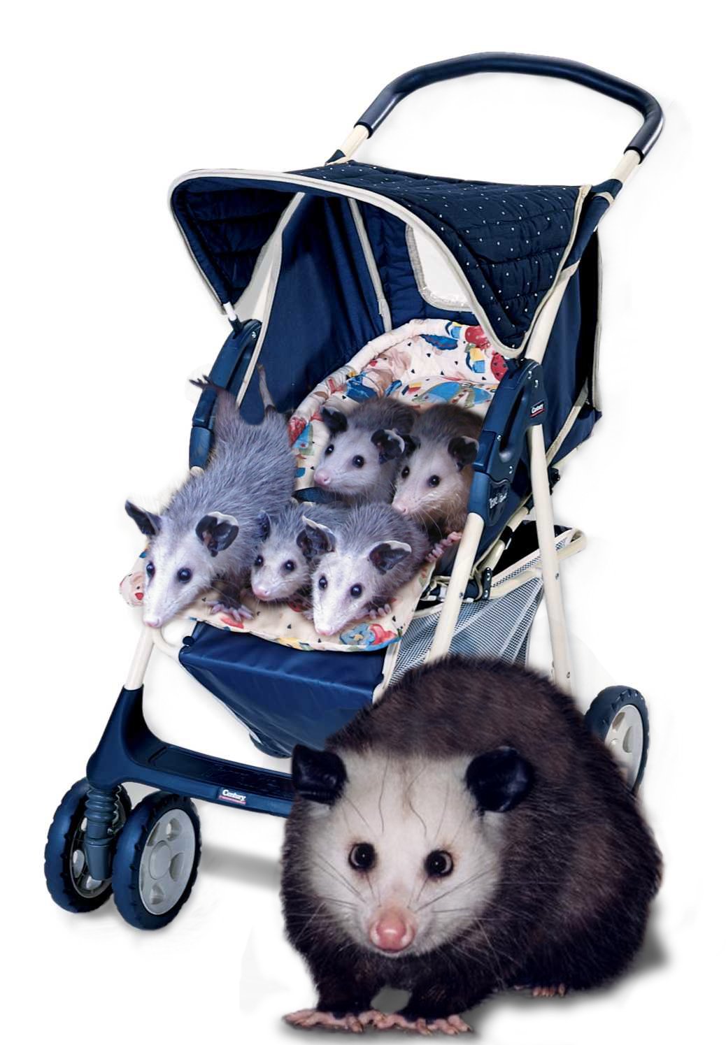 Photoshop-Design von Garsaelon für DesignCrowd (Community Contests) | Design #9131019