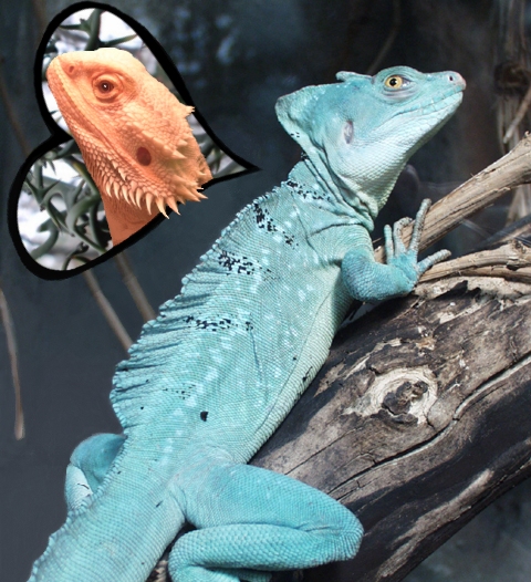 Diseño de Photoshop por CynLynn para DesignCrowd (Community Contests) | Diseño #9131025