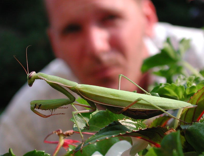 Photography by ErichMangl_banned for DesignCrowd (Community Contests) | Design #9131699